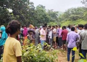 udaipur ten year old boy killed by panther attack in phalasia udaipur