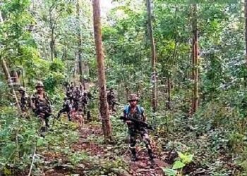 31 Naxals killed in dantewada narayanpur Search operations continue security forces recovered large quantity of arms
