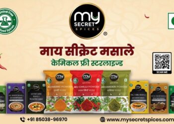 my secret spices kitchen masala spieces company in udaipur rajasthan