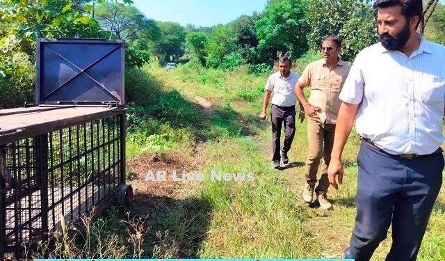 udaipur maneater panther search operation in gogunda udaipur