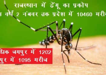 dengue in rajasthan maximum patients from jaipur and udaipur in 2024