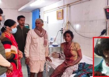 udaipur panther attack again 20 year old girl seriously injured in bhutala near gogunda