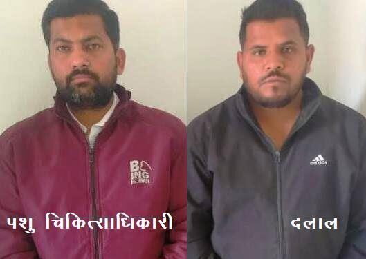 rajsamand acb arrest veterinary hospital medical officer for taking bribe of rs 12600