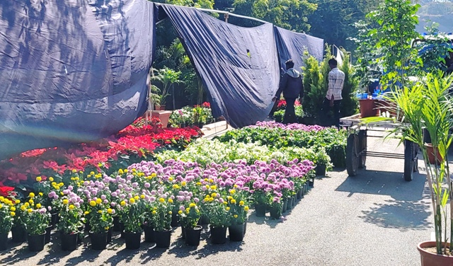 Fatehsagar Pal Flower Show 2025