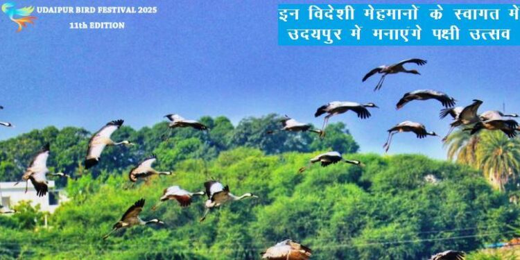 udaipur bird festival 2025 will celebrate 17 to 19 january