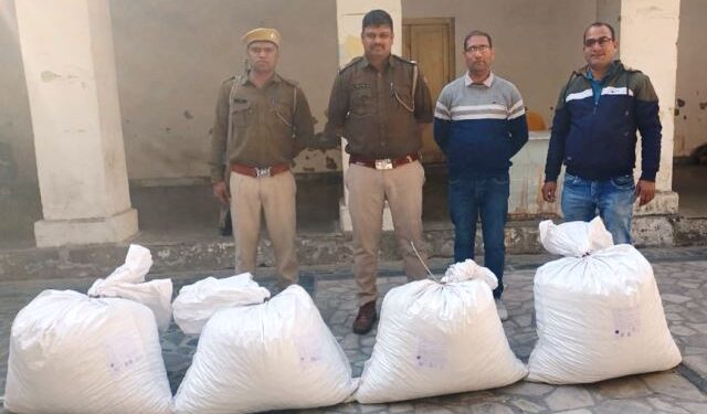 udaipur surajpole police seized poppy husk parcels from travels bus office