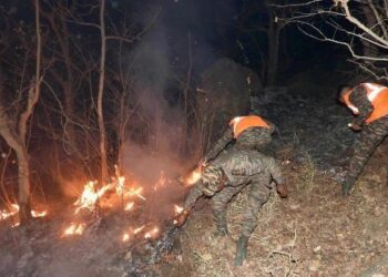 INDIAN ARMY HELPS TO CONTAIN MAJOR FOREST FIRE IN MOUNT ABU