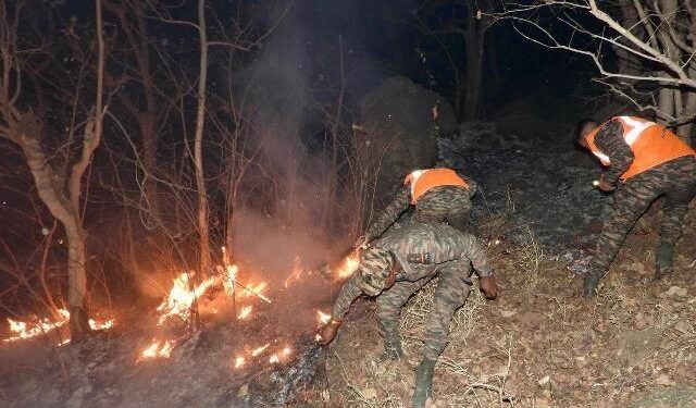 INDIAN ARMY HELPS TO CONTAIN MAJOR FOREST FIRE IN MOUNT ABU