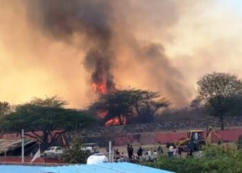 fire in sajjangarh sanctuary udaipur -1