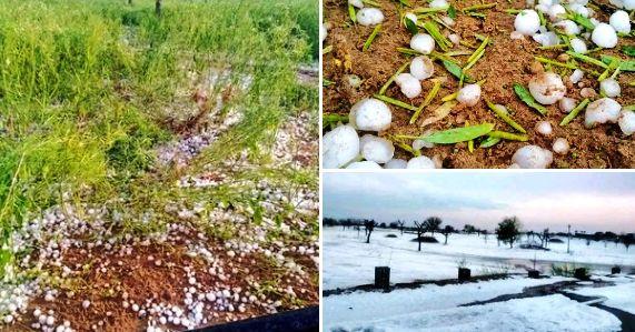 Rain With Hailstorm in rajasthan