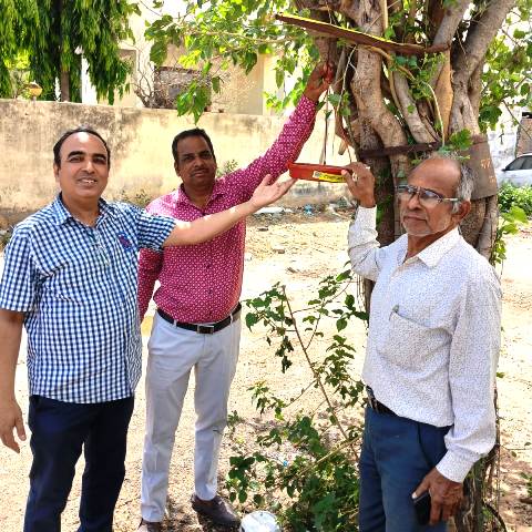 rajasthan samaj seva sansthan parinda vitaran
