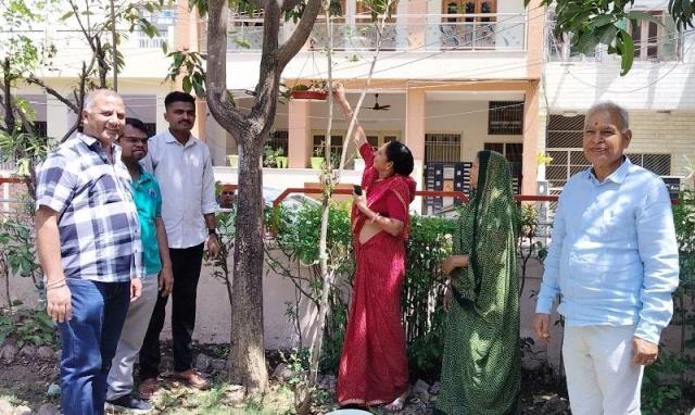 udaipur rajasthan samaj seva sansthan parinda vitaran abhiyan in udaipur -1