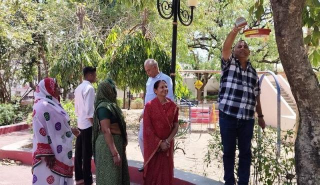 rajasthan samaj seva sansthan udaipur parinda vitaran abhiyan in udaipur