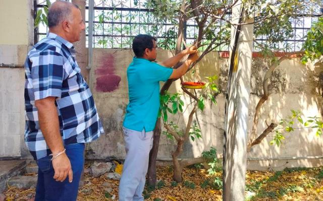 udaipur rajasthan samaj seva sansthan parinda vitaran abhiyan in udaipur -1