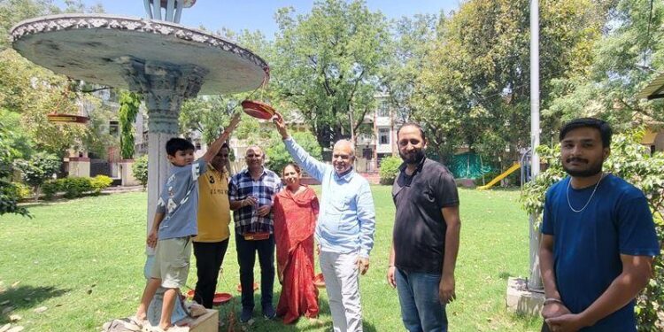 rajasthan samaj seva sansthan udaipur parinda vitaran abhiyan in udaipur