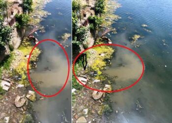 udaipur sewage falling in lakes rang sagar pichola lake udaipur