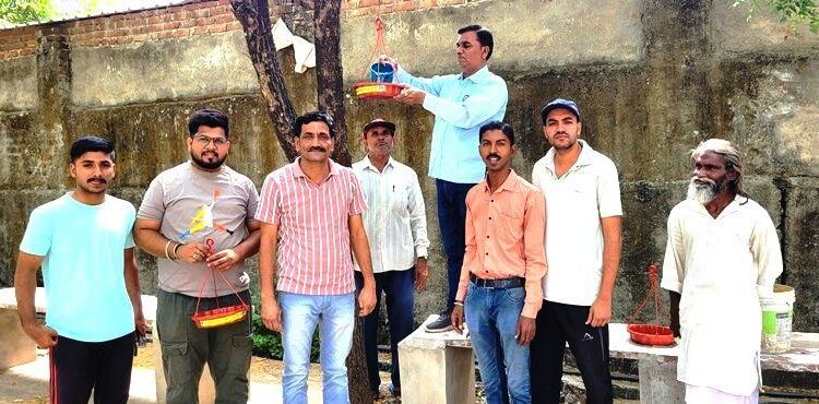 rajasthan samaj seva sansthan udaipur parinda abhiyan in badgaon mokshadham