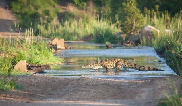 hindustan zinc will spend 5 crore on conservation of Baghdarrah Nature Park udaipur