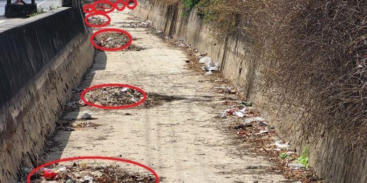 udaipur madar nahar cleaning negligence of nagar nigam udaipur