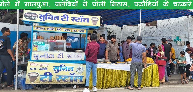 hariyali amavasya mela udaipur 2025