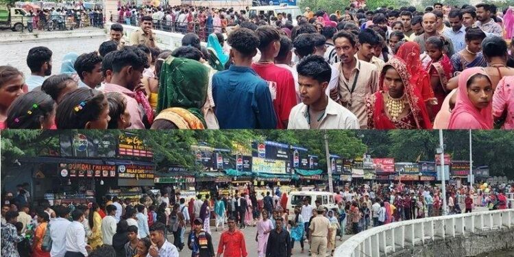 hariyali amavasya mela udaipur 2025