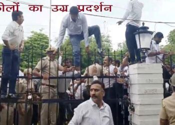 udaipur bar association lawyers protest at collectorate
