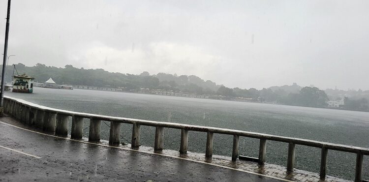 Heavy rains in rajasthan udaipur : water Inflow continues in udaipur lakes