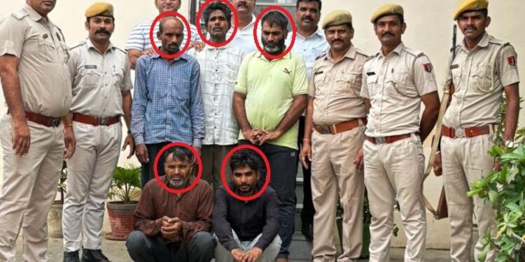 udaipur savina police bust thieves gang arrest five accused accepted 50 theft in city area