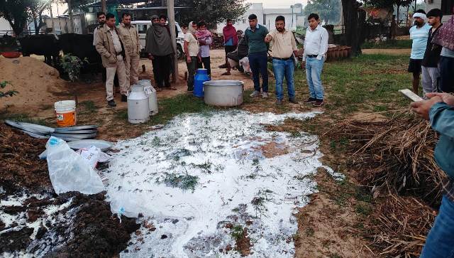 adulterated milk and mawa destroyed in jaipur Cheethwari