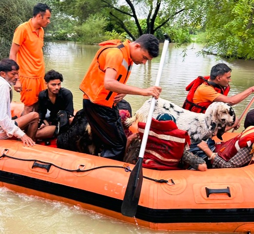 SDRF Rajasthan rescue operations monsoon 2025