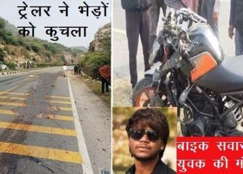 udaipur pindwara highway Four accidents in one day Bike rider killed, trailer crushed 30 sheep