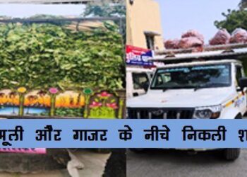 udaipur police caught illegal liquor carried smuggling