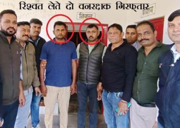 Udaipur ACB arrest two forest guards for taking bribe Rs 80000 in kherwara udaipur