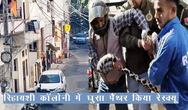 udaipur panther enter in houses in residential colony krishnapura bhupalpura udaipur city