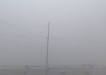 fog and cold wave in rajasthan