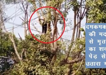 udaipur man died after contacting with high-tension line while trimming a tree in school campus