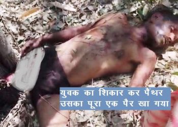 Udaipur Panther kills watchman in upli badi village badi udaipur