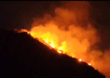 बाहुबली हिल पर आग, फंसा युवक हुआ बेहोश, रेस्क्यू टीम ने बचाया