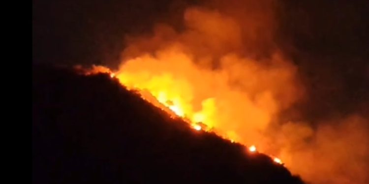 बाहुबली हिल पर आग, फंसा युवक हुआ बेहोश, रेस्क्यू टीम ने बचाया