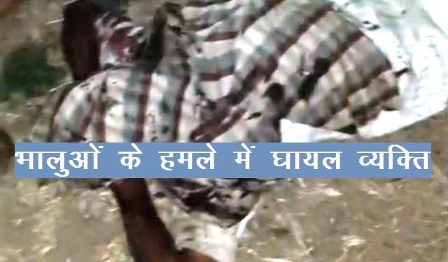 Udaipur News bear attack on Man in sayra udaipur