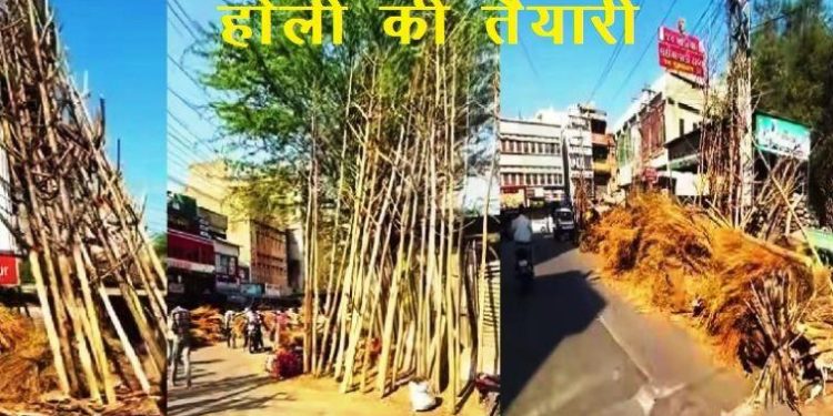 holi in udaipur rajasthan