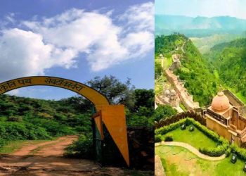 kumbhalgarh and todgarh ravali sanctuaries