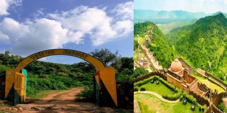 kumbhalgarh and todgarh ravali sanctuaries