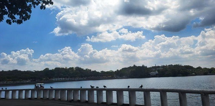 udaipur latest news rain