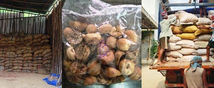 DRI seizes 60000 kg smuggled foreign origin areca nuts in North-East region