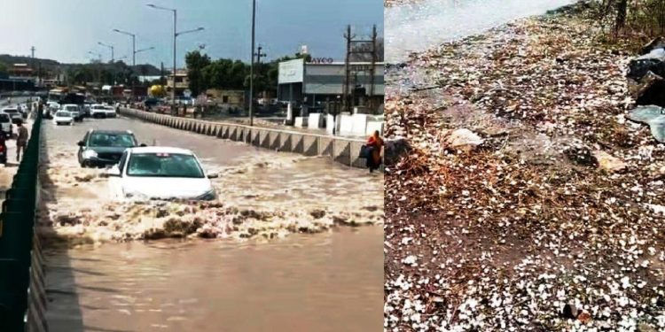Hailstorm and Rain in Udaipur division Rajasthan