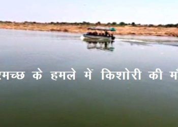 dholpur 14 year old girl died in Crocodile attack at rajghat chambal river -1