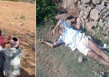 murder in sayra old man killed bloody dead body found in farm -