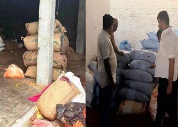 shudh aahar milawat par vaar Sumerpur Pali rajasthan 8000 kg of Adulterated Spices Seized