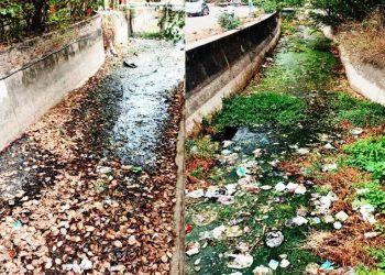 फतहसागर में पहुंचेगा सीवर और गंदगी: मदार नहर बनी गटर, कौन लेगा सुध ?